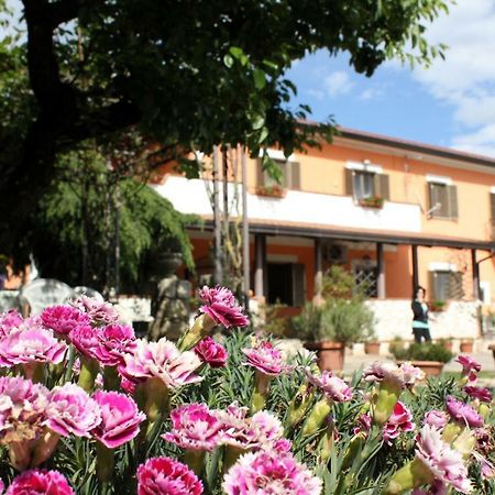 B&B Casale Shanti 피에디몬테 산 게르마노 외부 사진